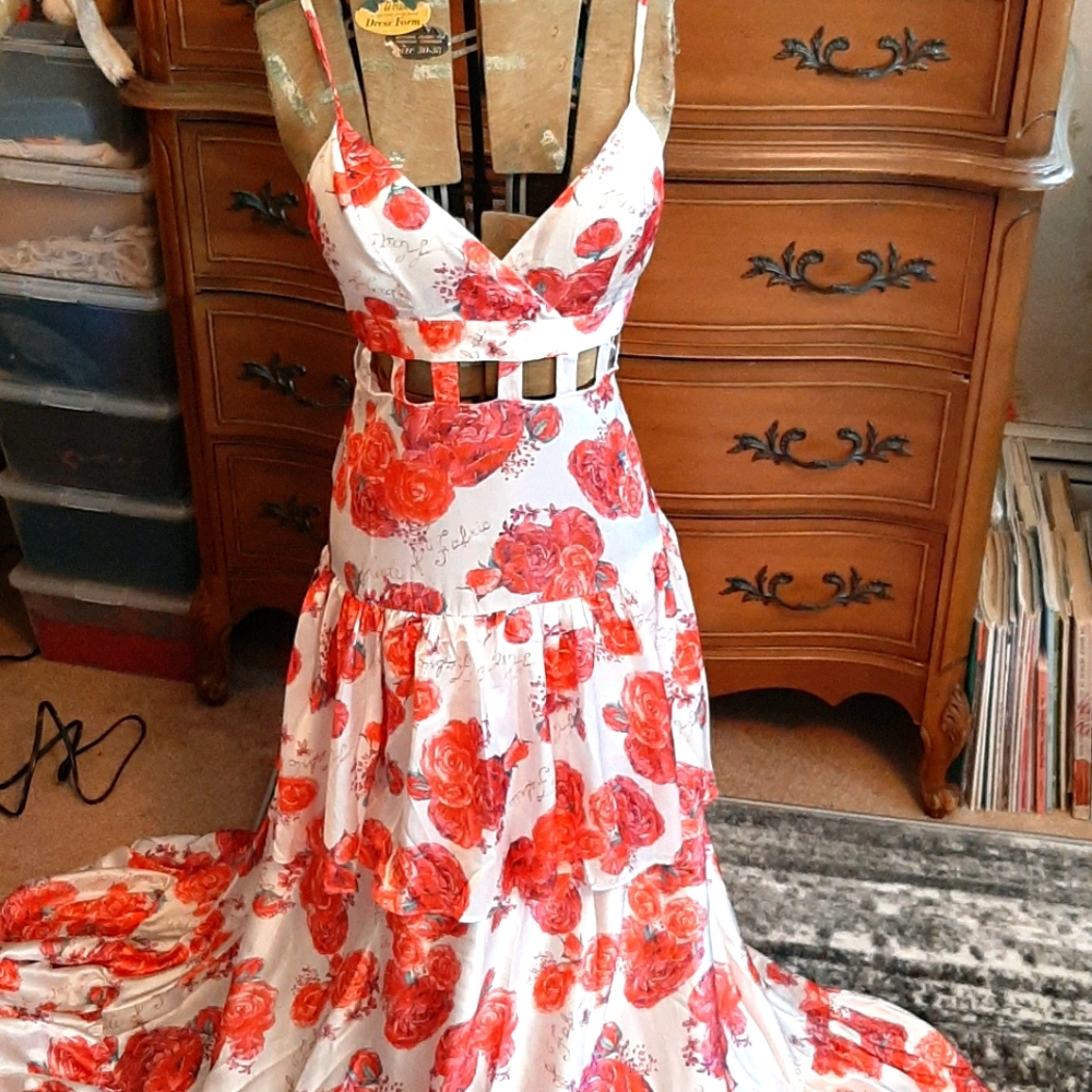 L'Atiste formal maxi gown.